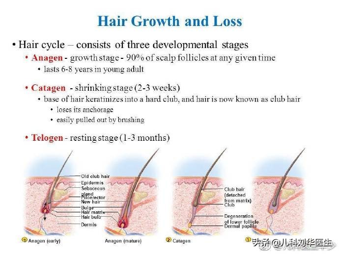 宝宝有枕秃是什么意思,孩子枕秃查血不缺钙怎么办
