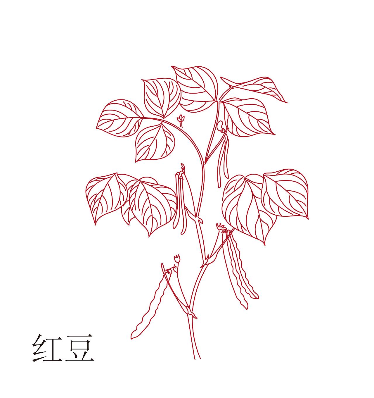 宗璞红豆中红豆出现的次数,红豆宗璞解读