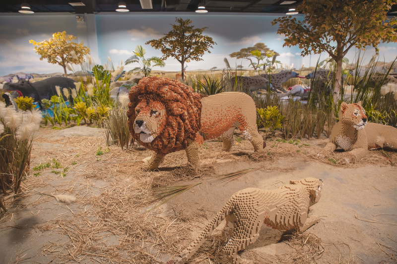 深圳有什么乐园小朋友玩,深圳比较好玩儿的游乐场