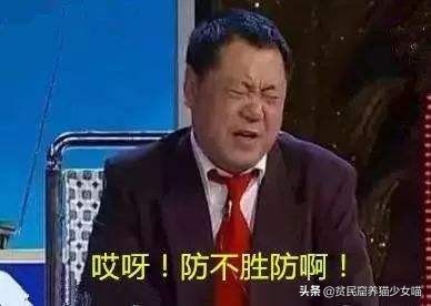 黑心商家曝光猫贩子,猫贩子骗局