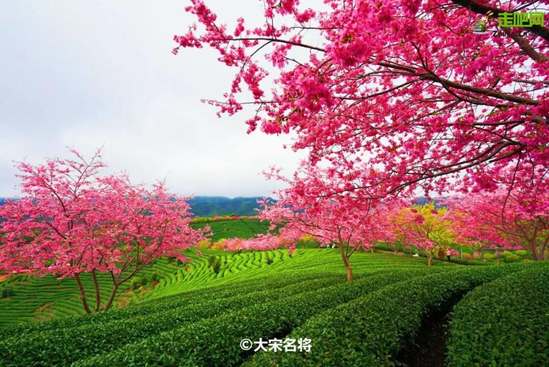 春节你的爱车可以停到这些地方,要过年了你的爱车保养了吗