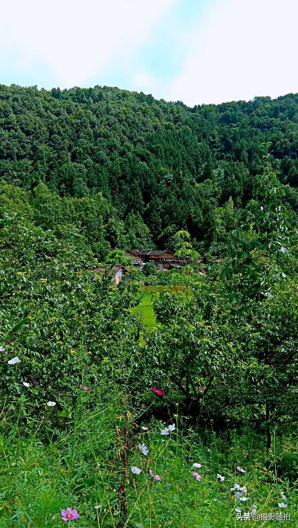 万源市竹峪镇东梨村,竹峪镇东梨村