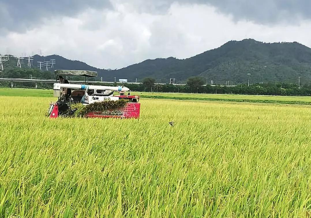 广州周边民宿深山老林,广州附近绝美民宿