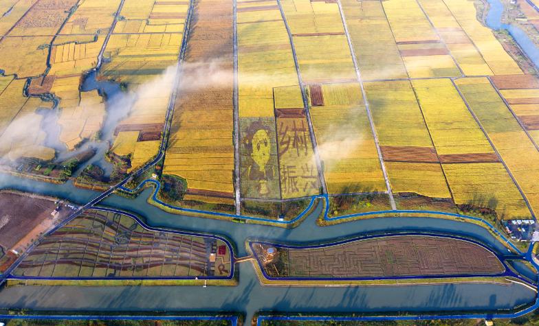 温州24个露营基地,温州湖岭露营地点推荐