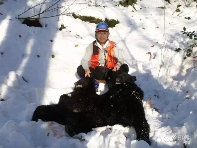 世界最贵的咖啡多少钱一杯,日本5000日元一杯的咖啡