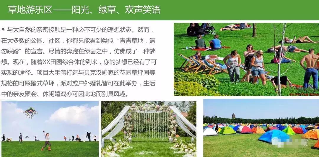 田园综合体类项目策划,田园综合体项目推介书ppt