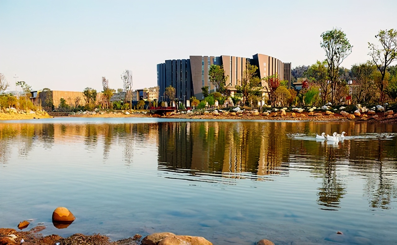 文过专录是只针对校考的学生吗,云南艺术学院今年有校考吗