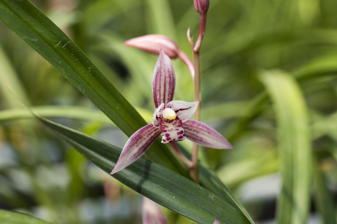 南靖一道美丽的风景线,南靖景区有哪些好玩的