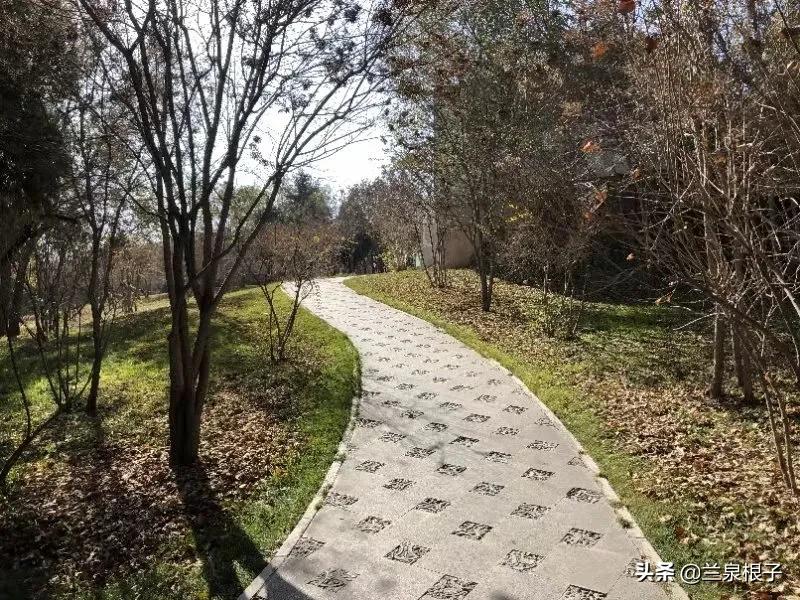 立冬自然风景,立冬雪景山水风景视频