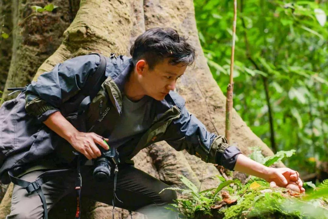 他的工作是厨师的英文,他的工作是什么英文句子