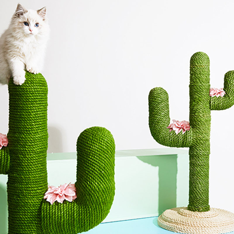 体外驱虫猫咪多久见效,猫咪体外驱虫后打喷嚏