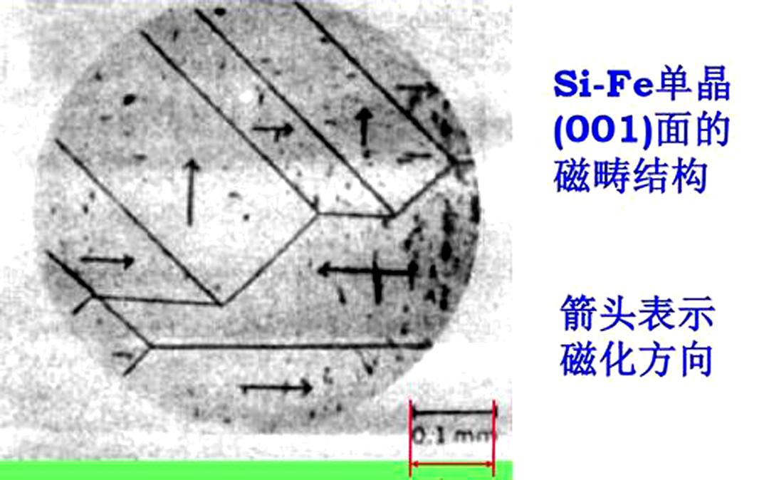 异性相吸的危害,异性相吸的生理原因
