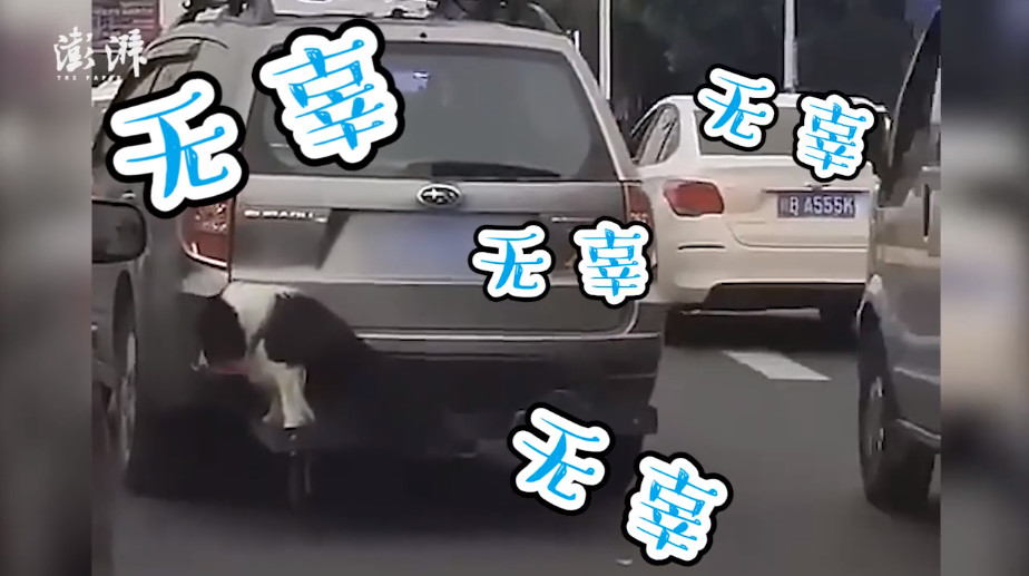 国际足联最新报道,国际足联和欧足联发表声明