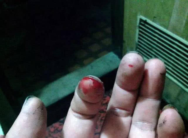 夜钓海鳗用什么饵,夜钓海鳗用沙蚕