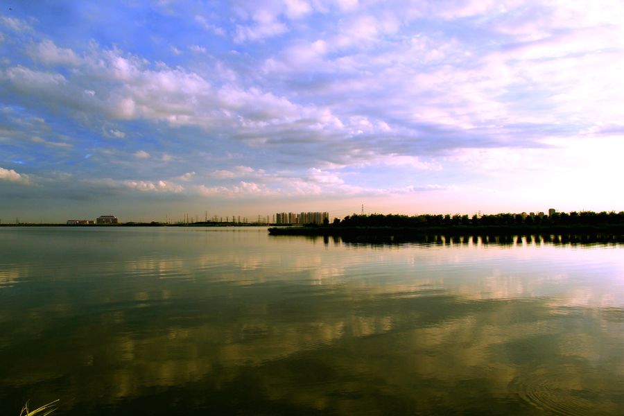 每天一县,天津东丽区