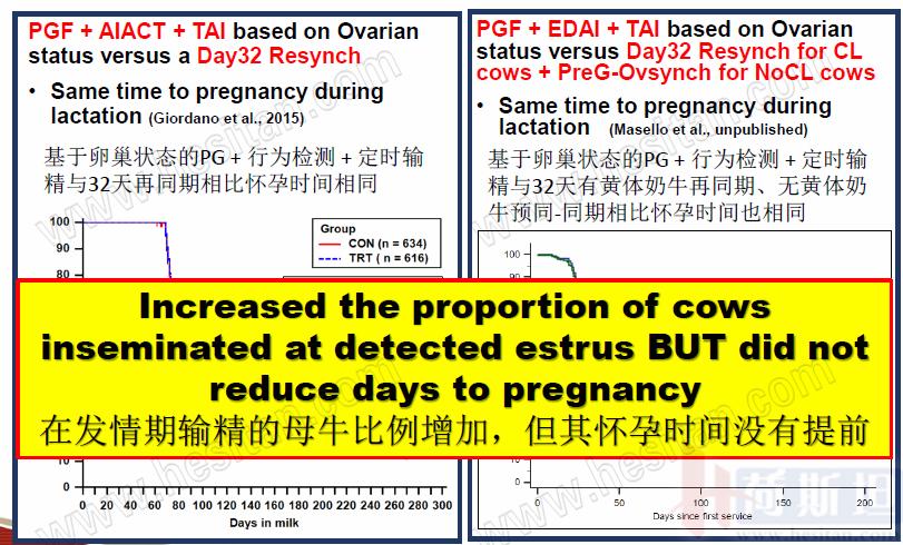 康奈尔大学JulioGiordano:如何通过技术整合优化繁殖性能