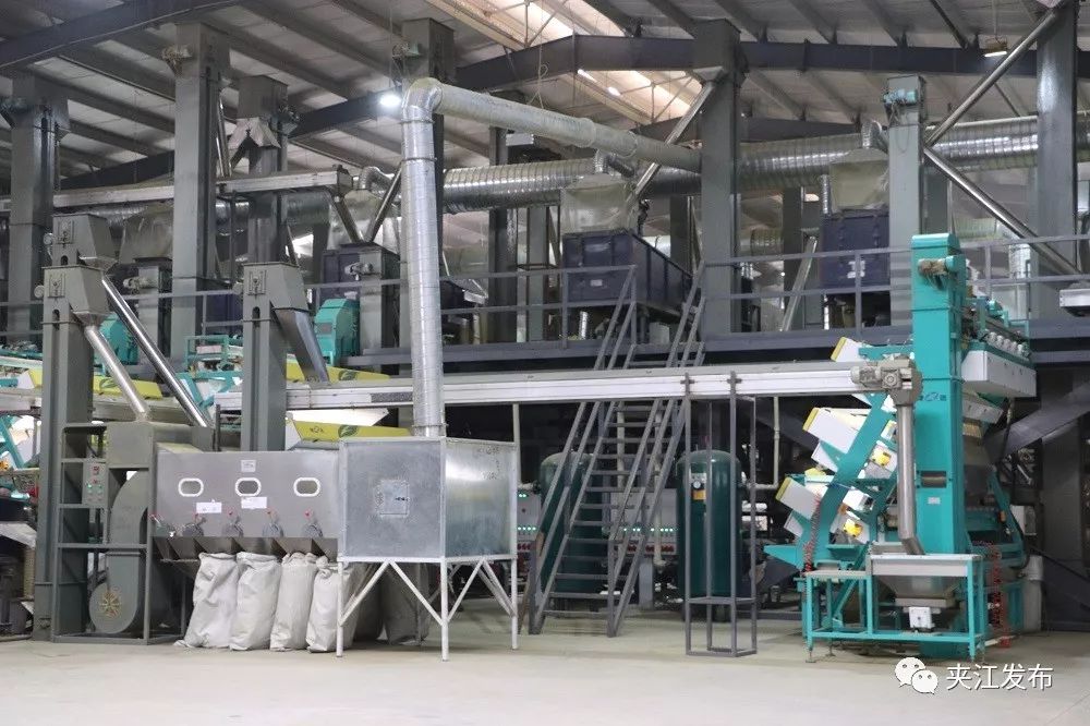 “百岳”来了！全国第一条立体布局出口绿茶生产线在夹江投产
