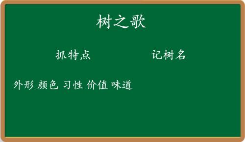 二年级语文第二单元第二课树之歌,二年级语文同步练习册树之歌答案