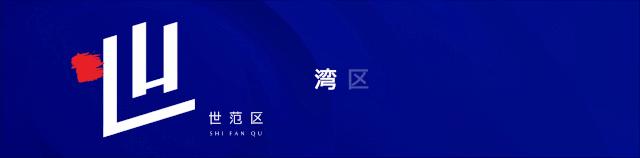 苏宁百货有限公司董事长张近东,张近东退出苏宁易购