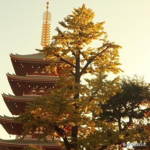 浅草寺的御守直接买就可以了吗,浅草寺合格御守
