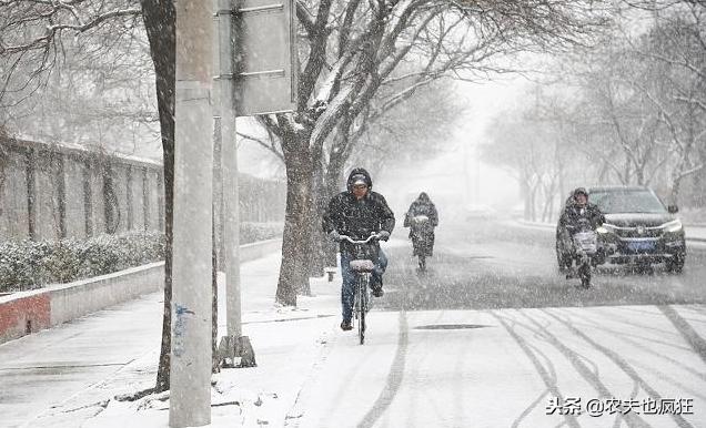 冬天数九是哪天开始,数九第几九最冷