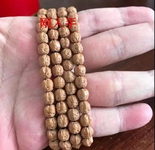 佛手小金刚三日红入手后如何盘玩,佛手小金刚天盘红