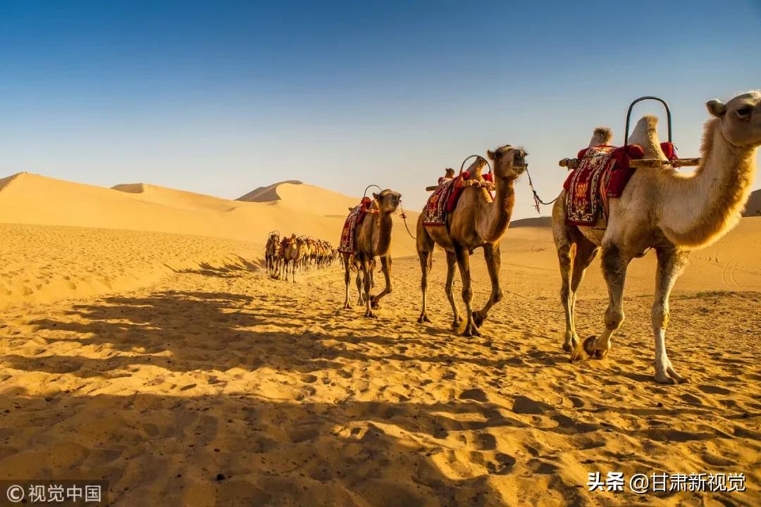 甘肃属于哪个省份的城市,甘肃是哪个省份的城市