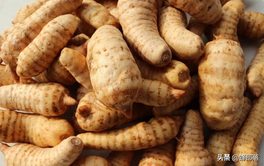 种植中药材回收公司靠谱吗,最有保障的中药材种植常年包回收