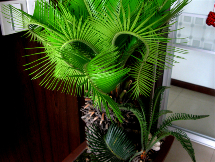 去除甲醛的植物除了绿萝还有什么,室内吸甲醛净化空气的植物大全