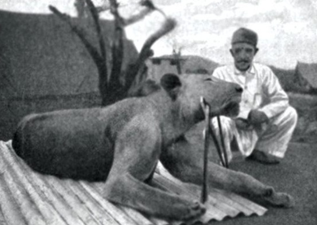 有枪就不怕狮子吗？不是！看帕特森中校在非洲经历了什么