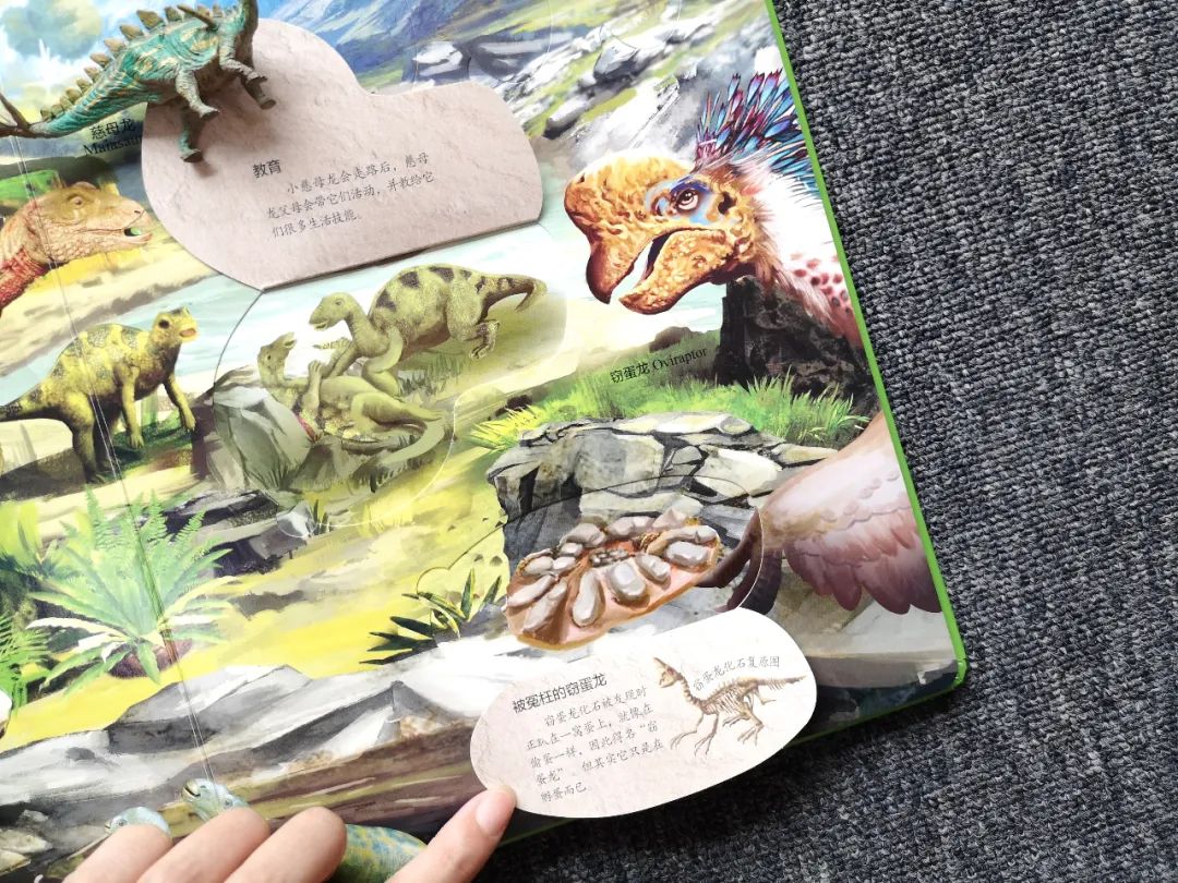 适合孩子看的恐龙科普书,适合5岁孩子看的恐龙科普书