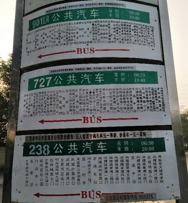 西安渭河风景,西安渭河草滩