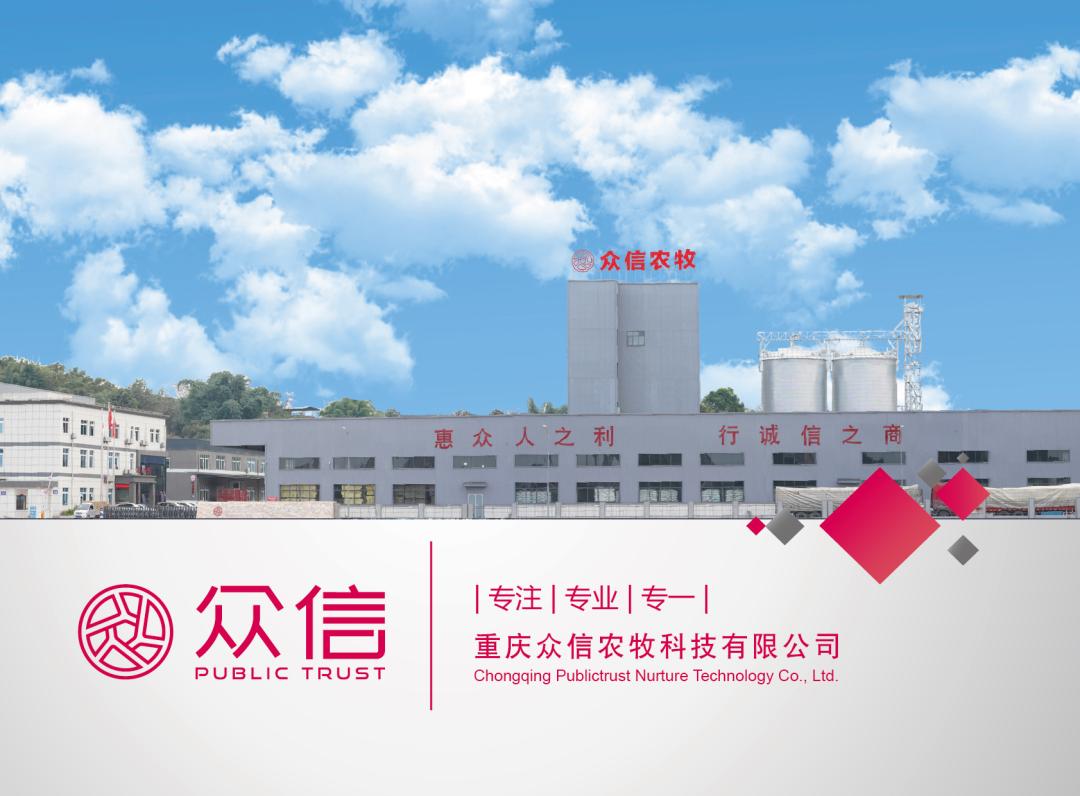 一站式便民利民服务,一站式服务助力企业