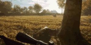 猎人荒野的呼唤游戏发展史,猎人荒野的呼唤选338还是300