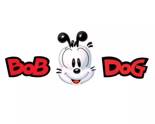 真正的巴布豆品牌,巴布豆品牌历史