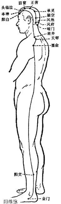 详解奇经八脉！（收藏再看）