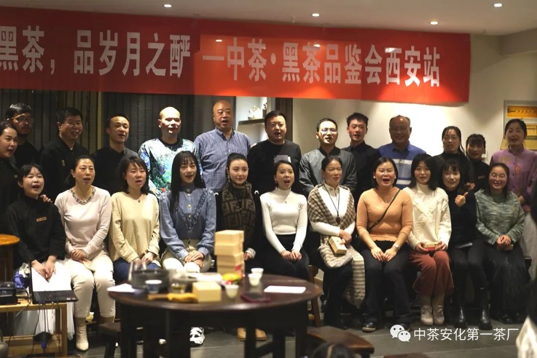 黑茶品鉴会,中茶陈年黑茶