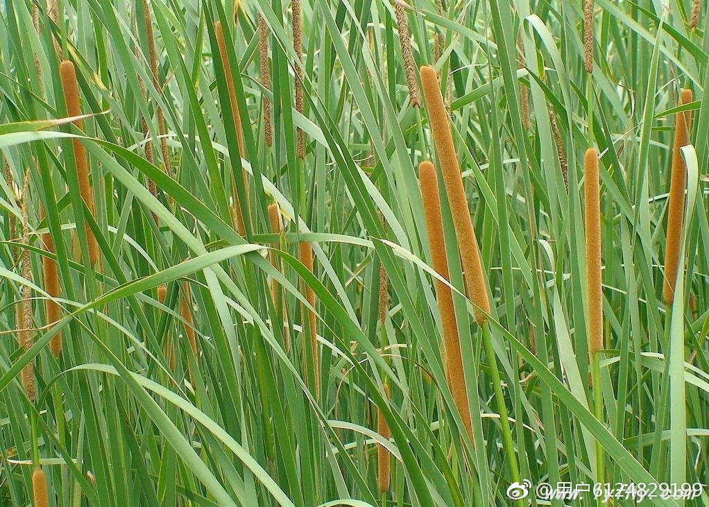 有趣的汉字读音相同,奇妙的汉字多音多义