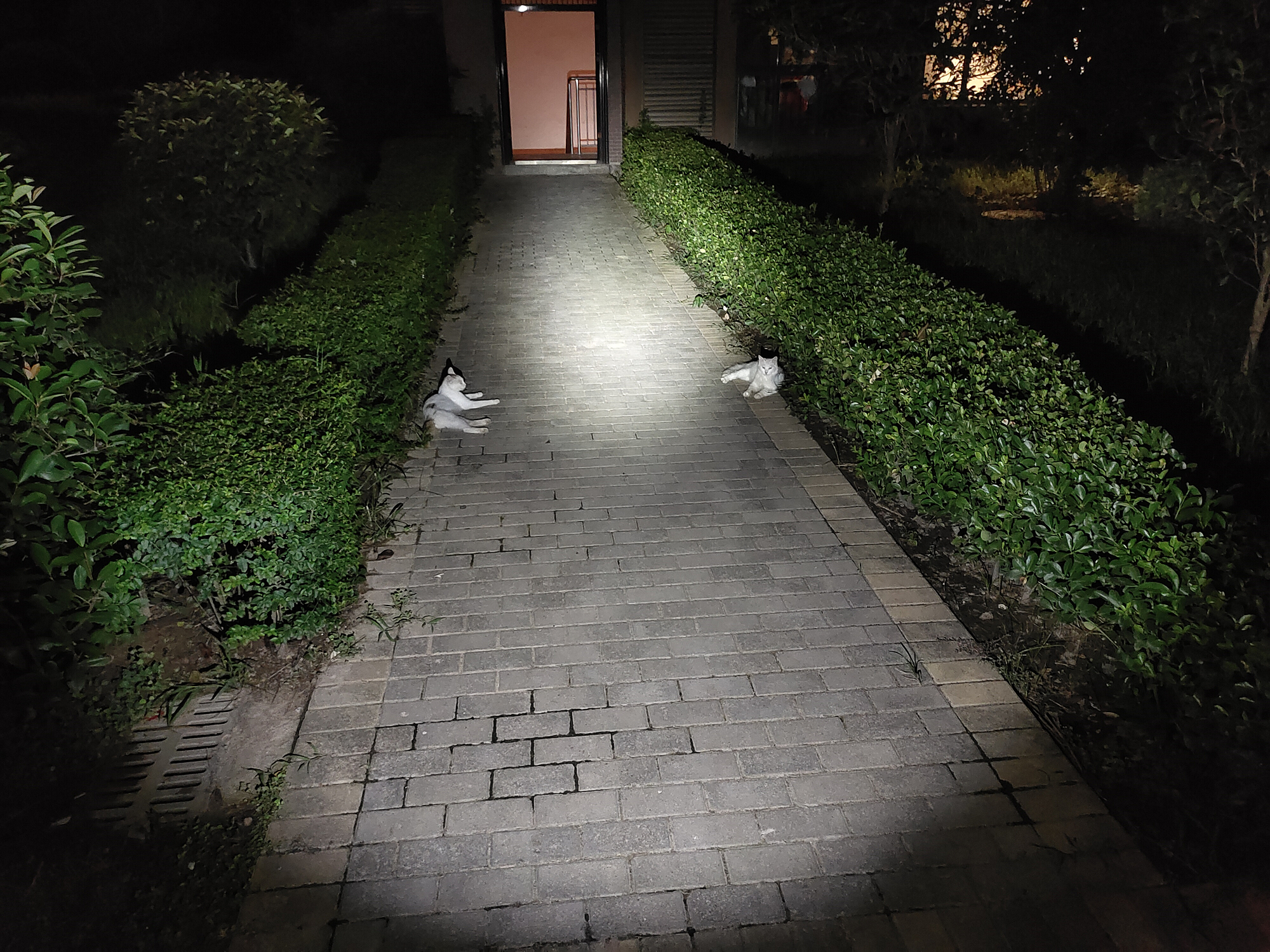 弘安保罗机械棍2.0,弘安保罗迷你机械棍