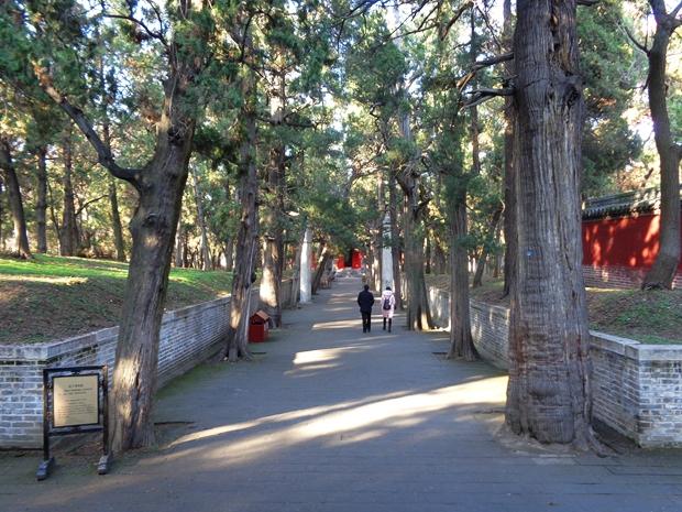 孔林是最大的氏族墓地吗,孔林最大墓葬群