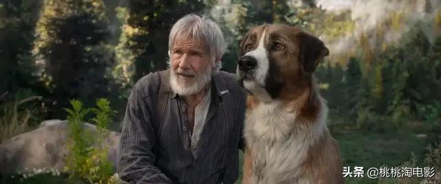 推荐几部电影打发一下无聊时光,看什么电影能更好的打发时间