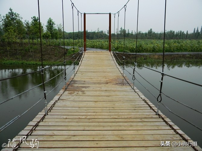 单车骑行无锡,无锡单车骑行路线