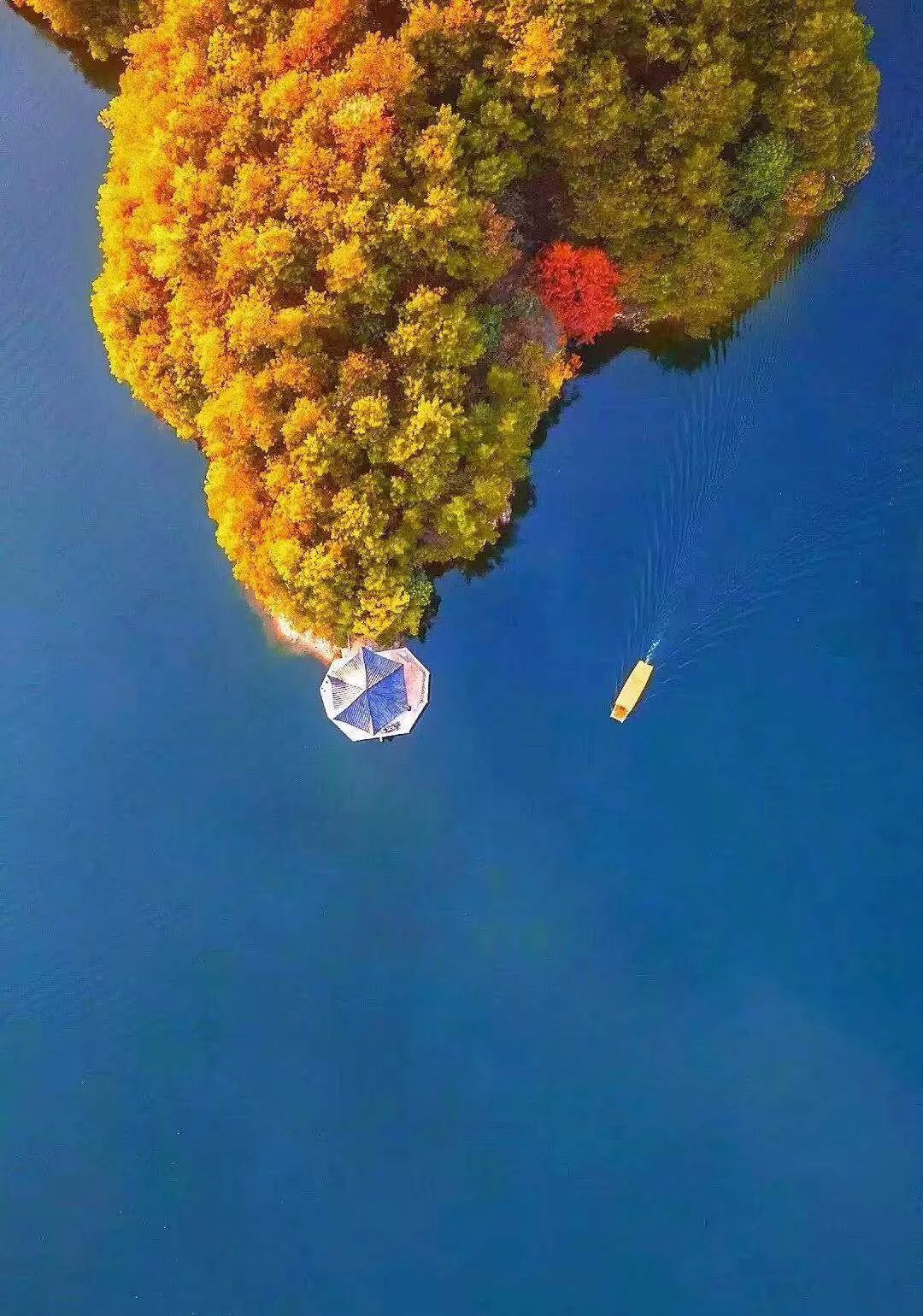 清凉寨春节活动,清凉寨枫叶节