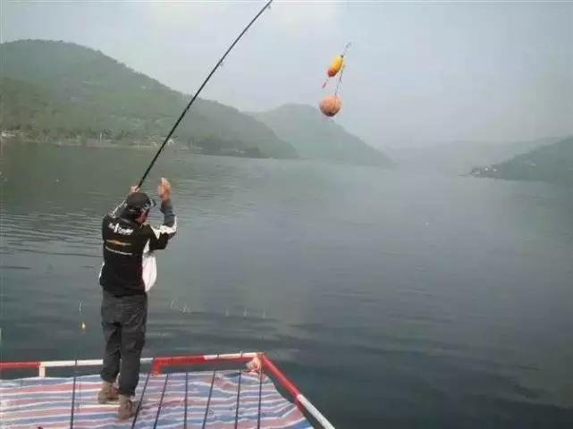 钓鱼竿为什么不绝缘,钓竿哪个牌子好