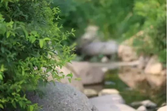 浣宠兘powershotg5xmarkii缂虹偣,浣宠兘powershotg5xmarkiii