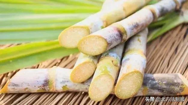 比毒蛇还毒100倍的食物,比毒蛇还毒的它千万别吃