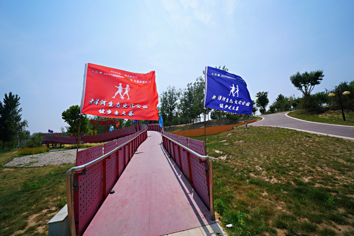 “杏运”来袭：这个县城一件事儿坚持了28年