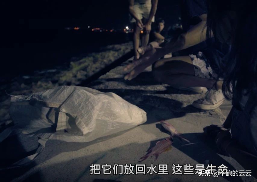 朴树送别的视频完整版,朴树带乐队上综艺