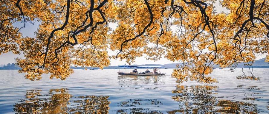 8年间抑郁症反复发作，通过6个方法最终战胜抑郁症