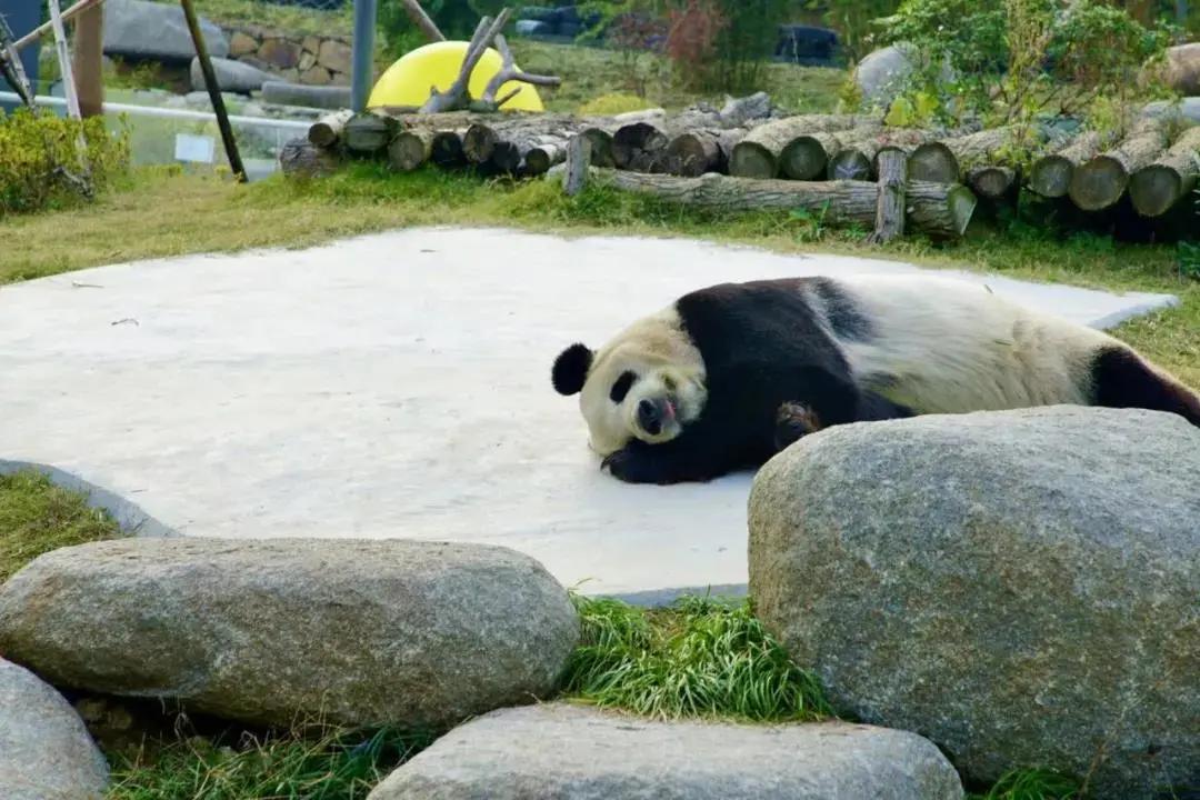 安吉玩雪的地方推荐,安吉周末滑雪泡温泉